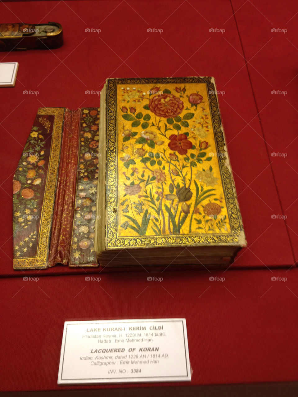 book old turkey holy by linhof