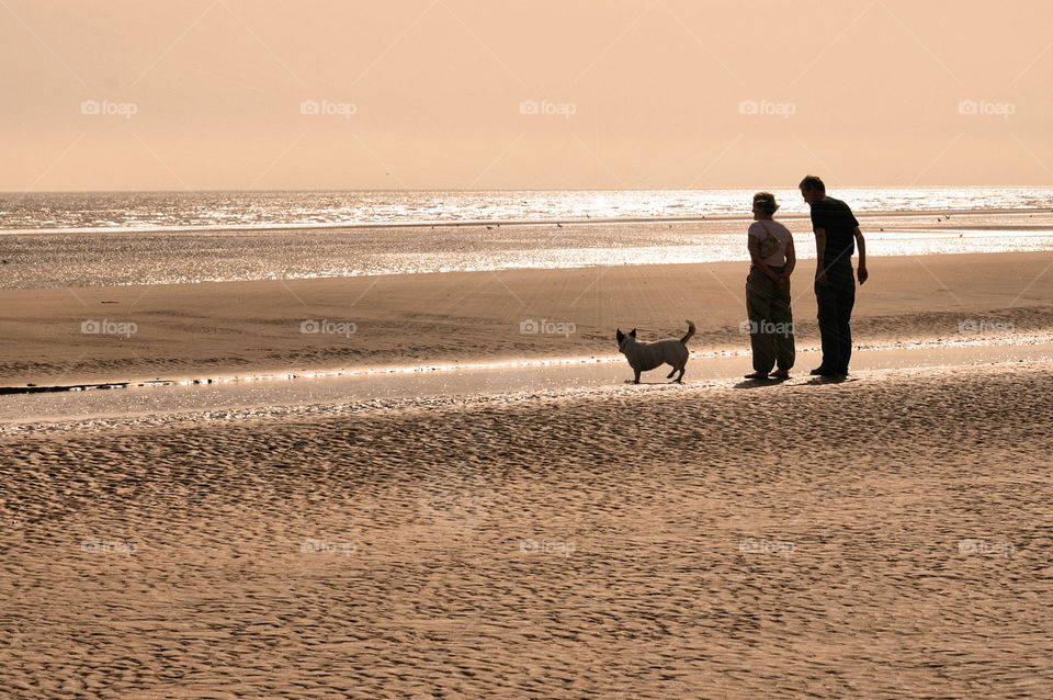 Evening at the Beach