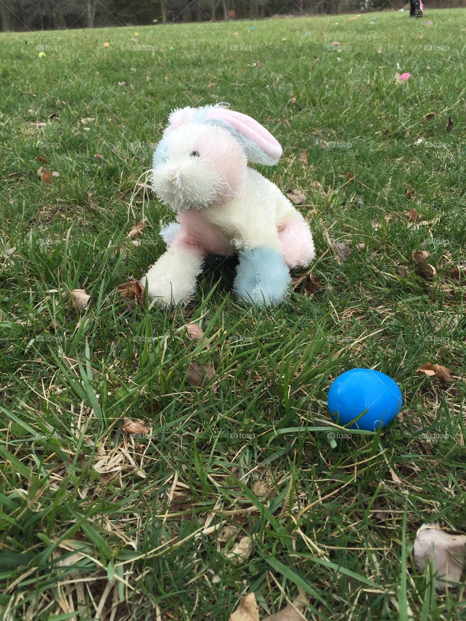 Easter Egg Hunt