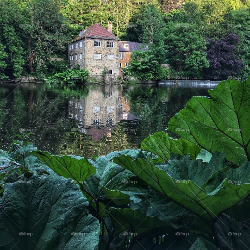 Take a Summer stroll along the banks of the River Wear in Durham UK 🇬🇧