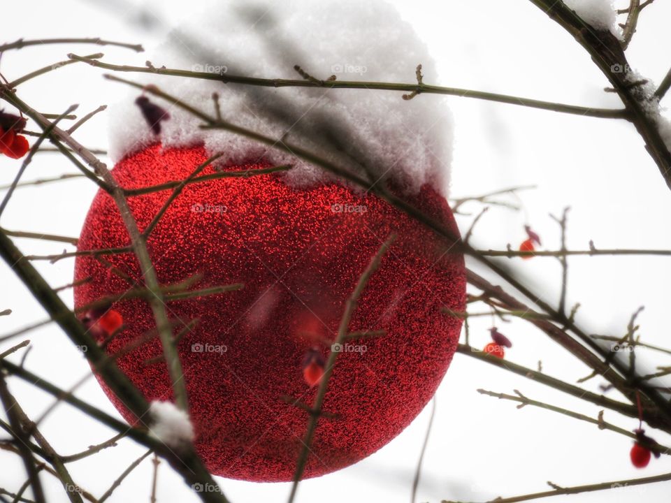 Looking outside this morning Preview of winter