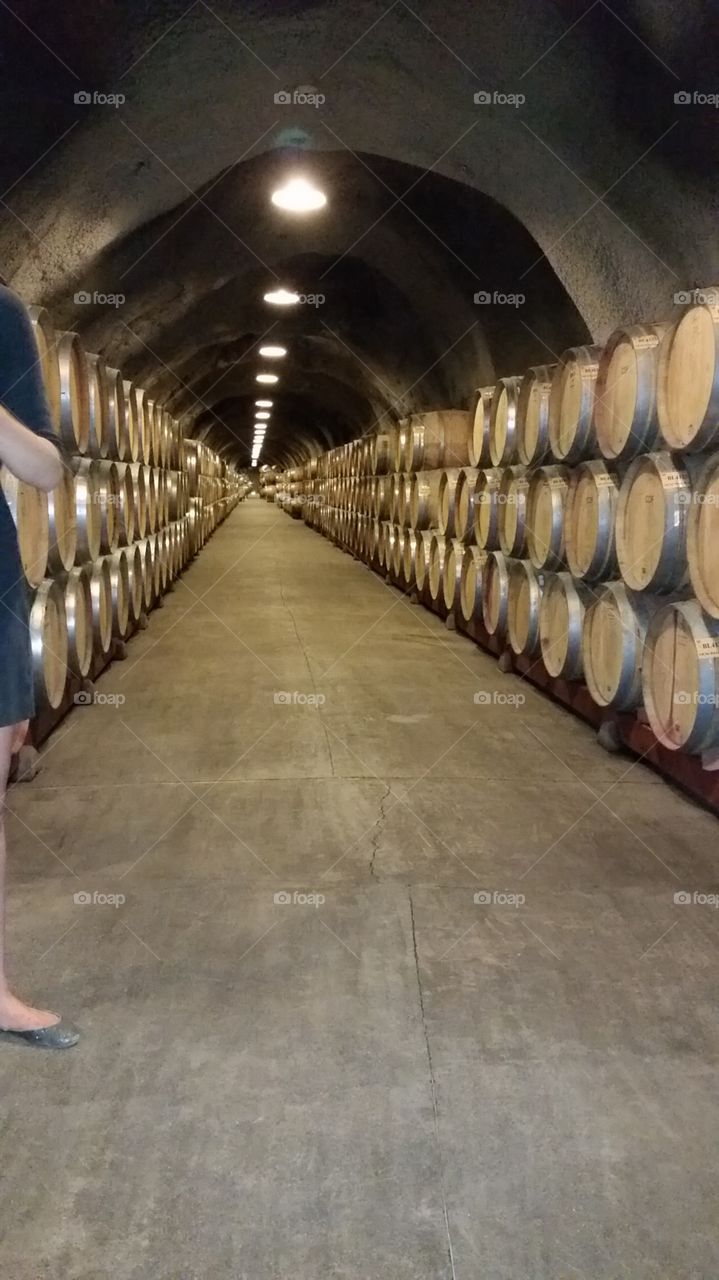 Napa wine barrels