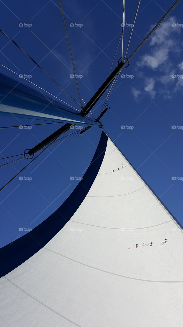 looking up sailing