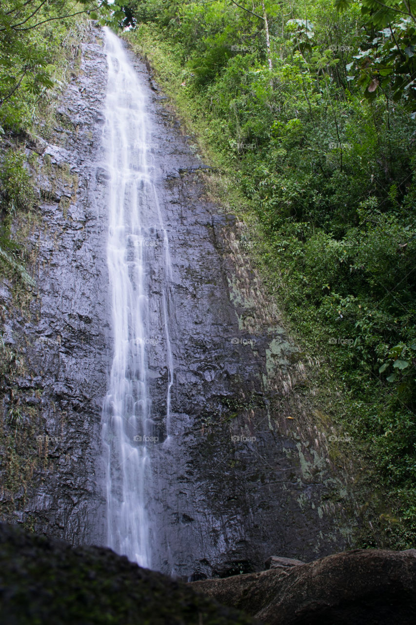 Manoa Falls