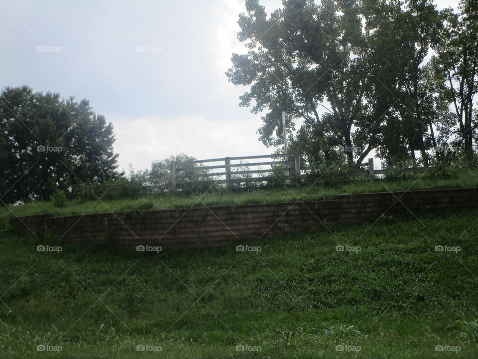 White rivet landscape