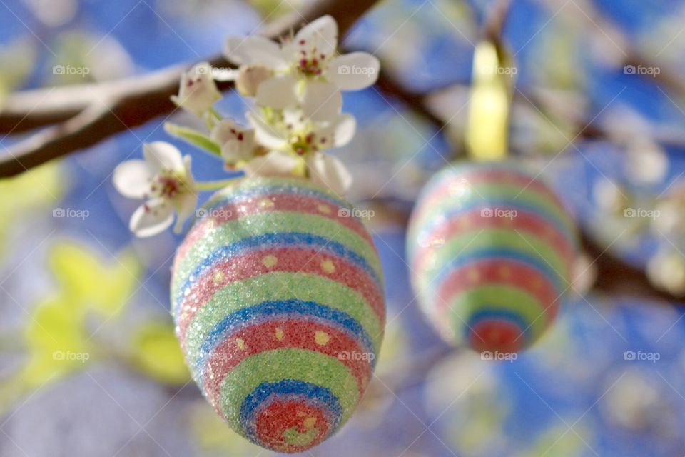 Spring & Easter