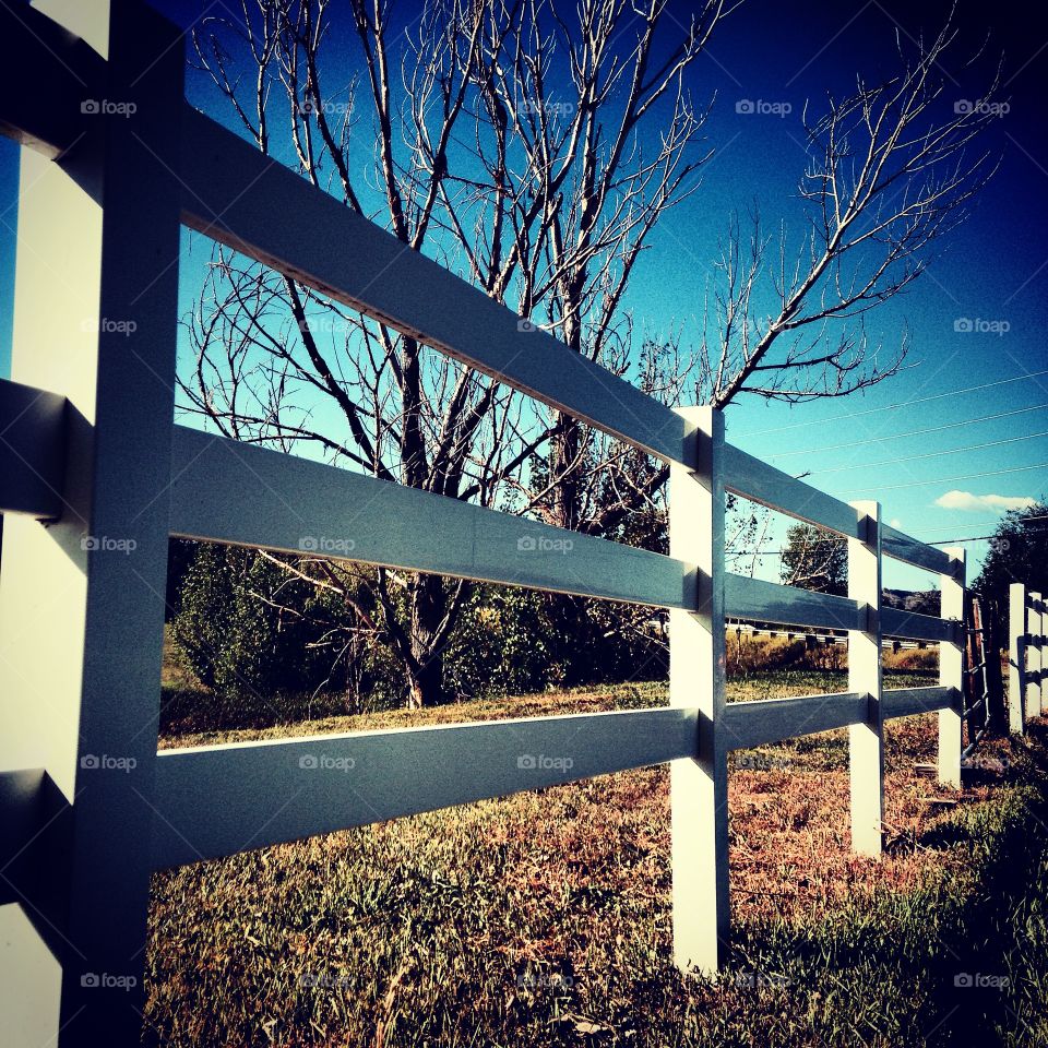 White picket fence 