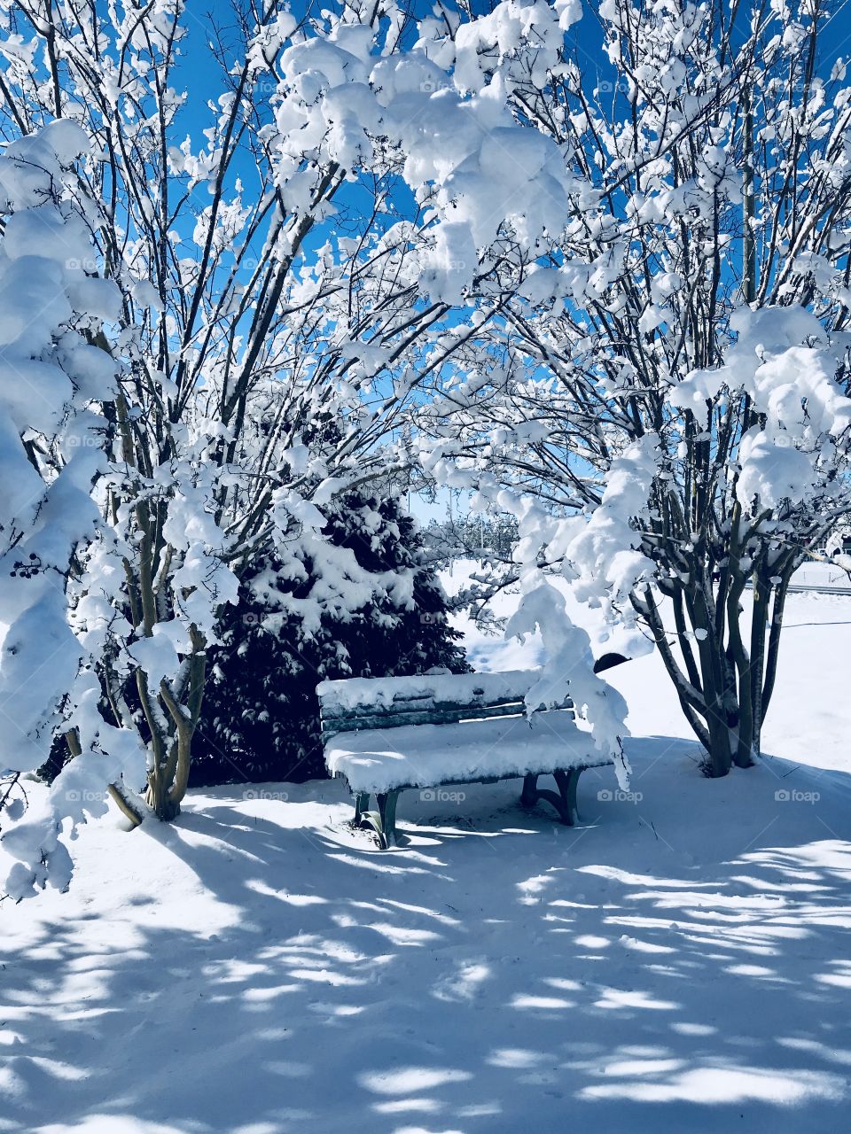 Snow Covered Bench 2018NC