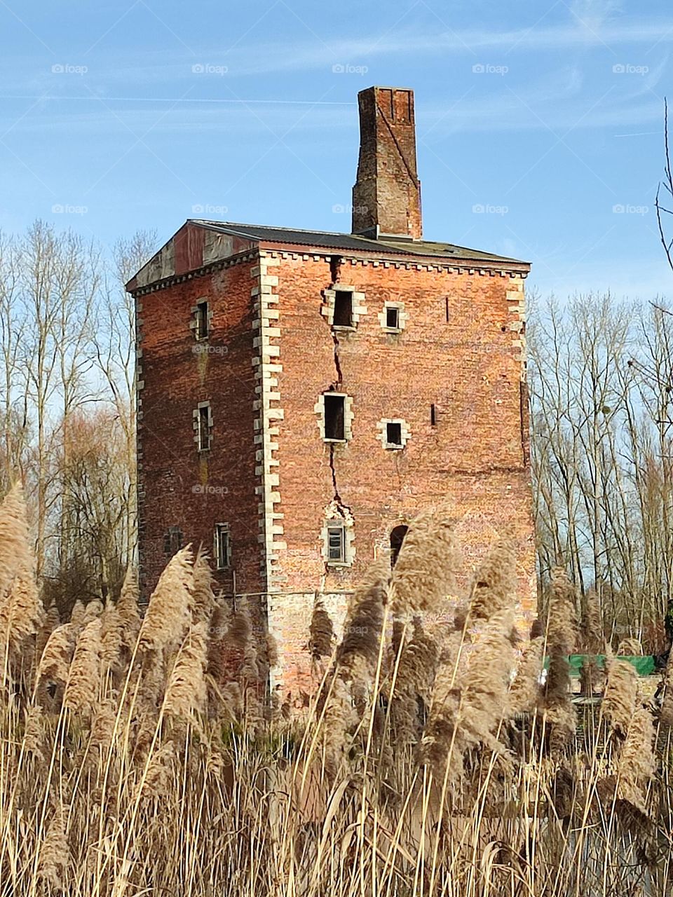 Visit of the castle of Havré, Hainaut
