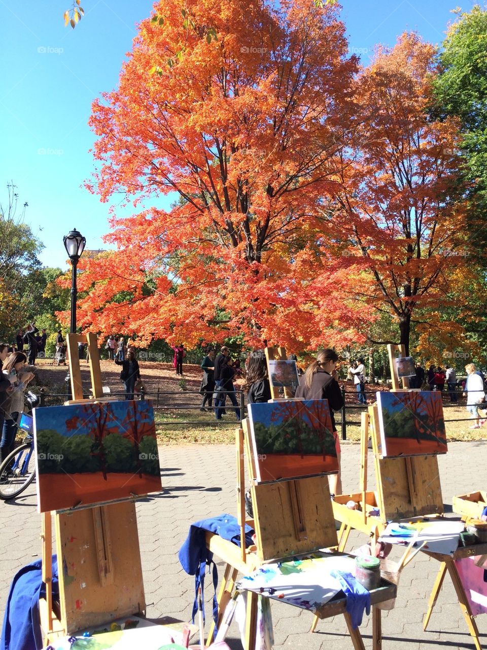 Paintings in the park 