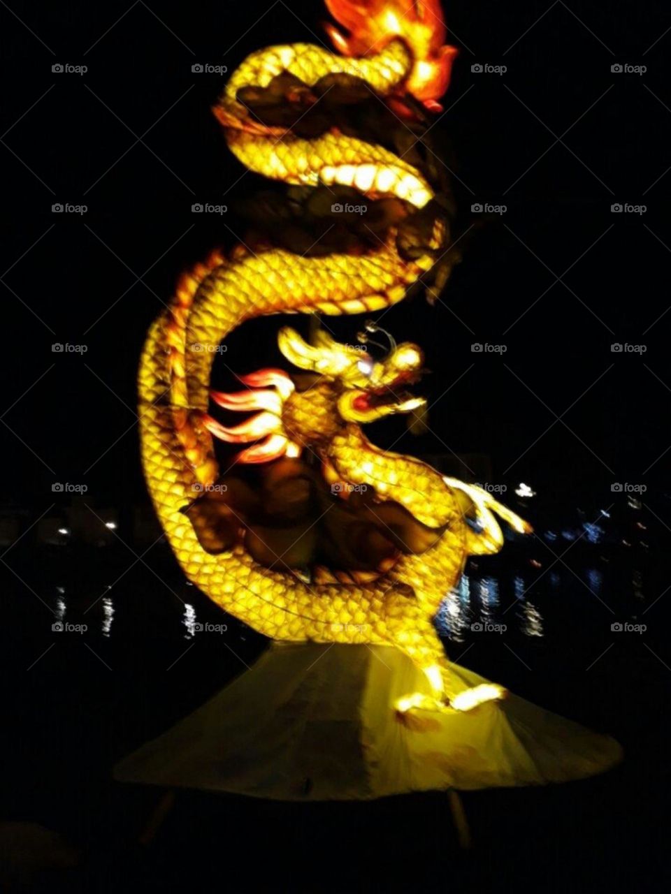 Rồng sáng Trong đêm.