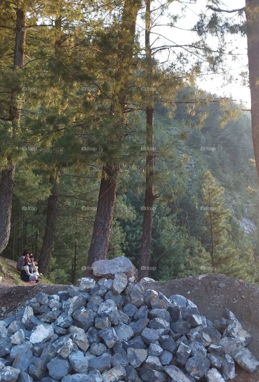 enjoy in mountain with friends