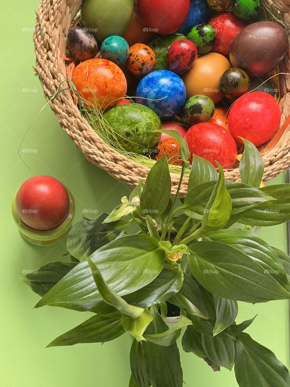 Top view of colourful eggs and flowers 