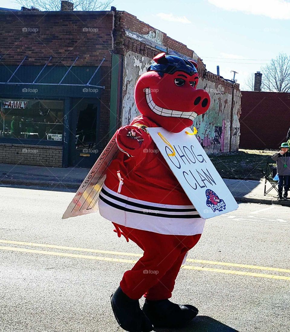 Ice hogs   Mascot