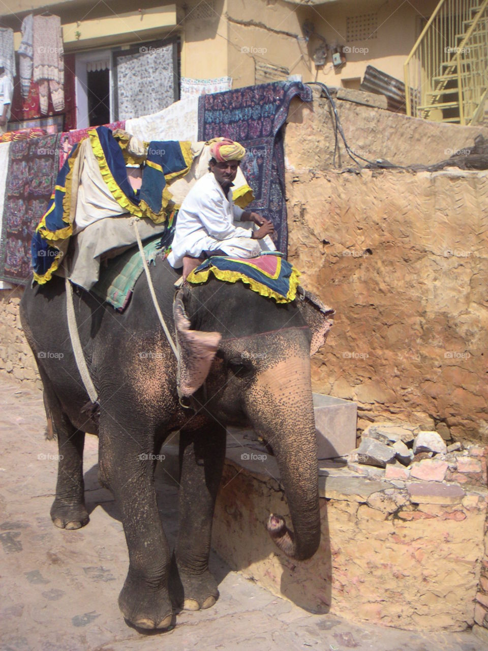 elephant and cornac at amber india