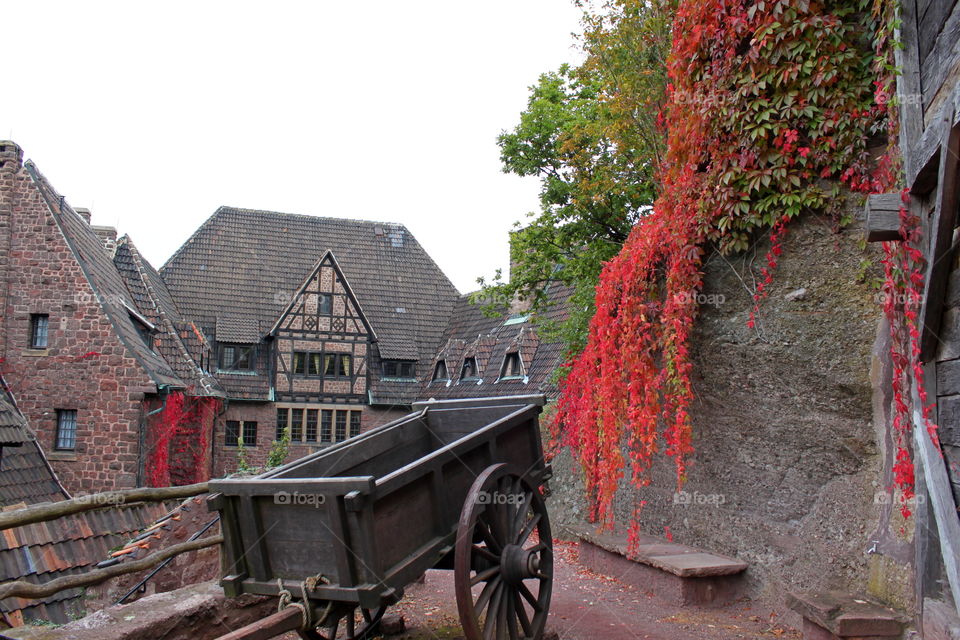 autumn in Germany.