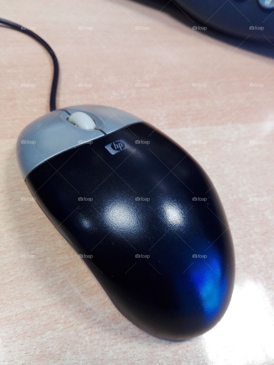 Mouse 