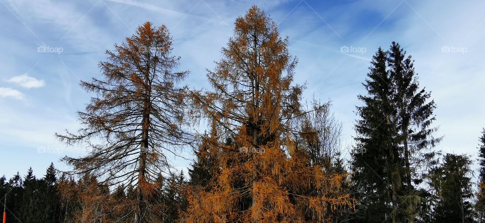 Herbst in Österreich