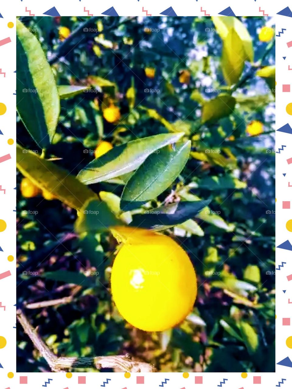 The sweat and blood for those people who risk life to take good care of it just to bare a perfect and healthy fruits for us.