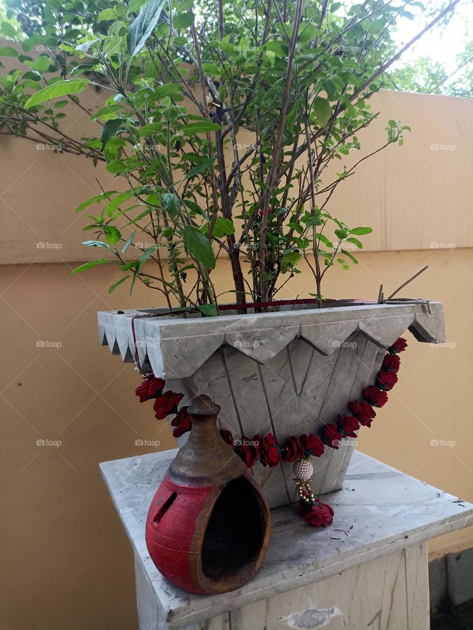 The secrets are in the plants to elicit them you have to love them enough