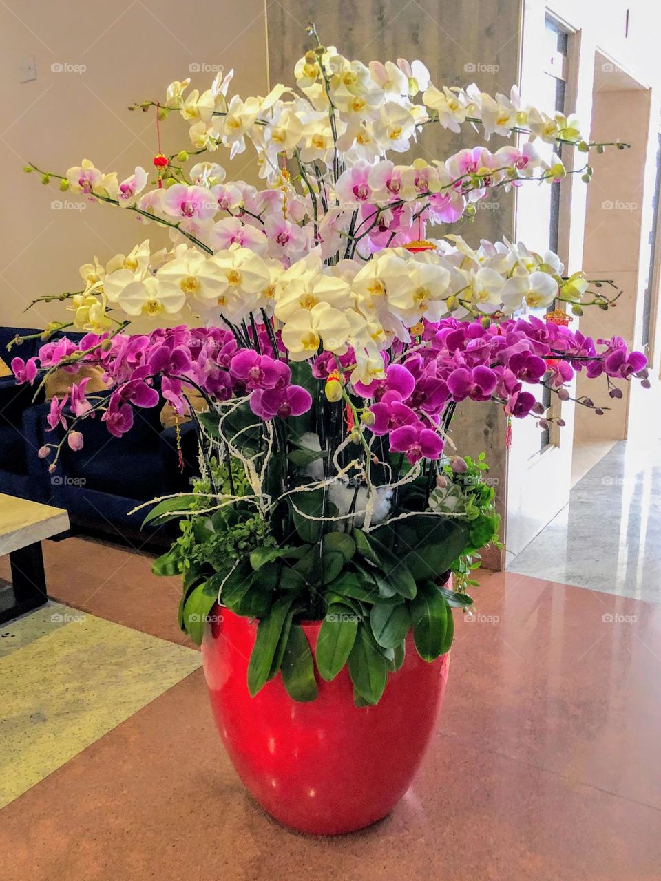 Beautiful orchids bouquet in big red flowerpot floor vase