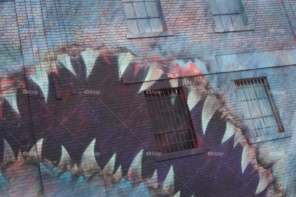 Shark art