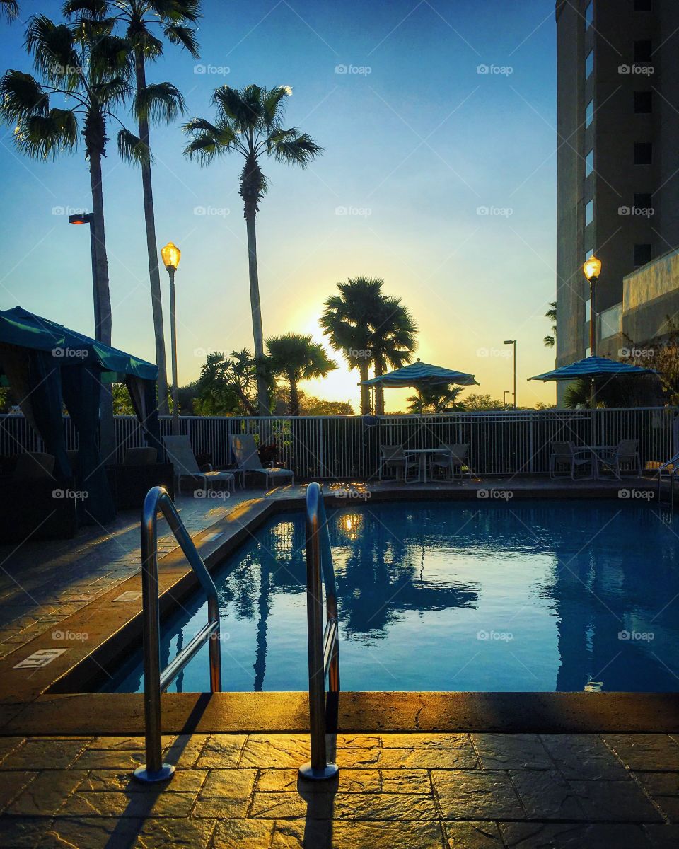 Poolside at sunset. Florida winter 