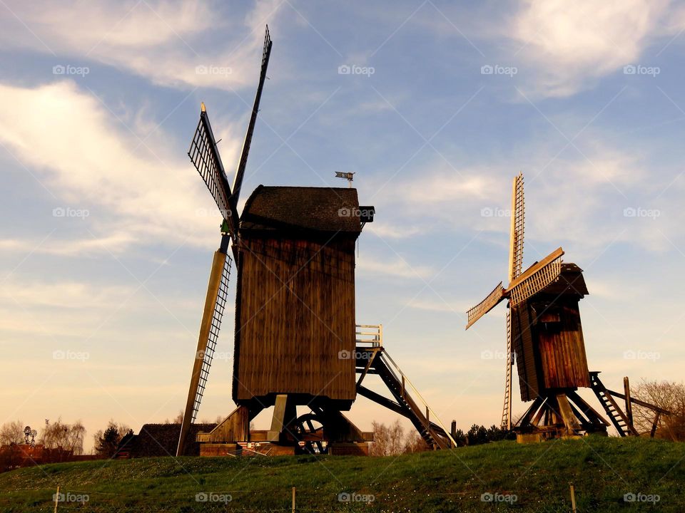 beautiful windmills