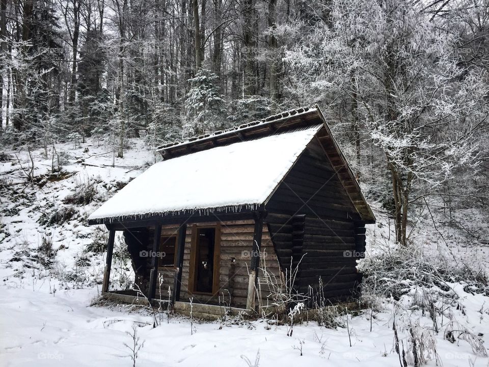 Single abandoned chalet in snowy forest