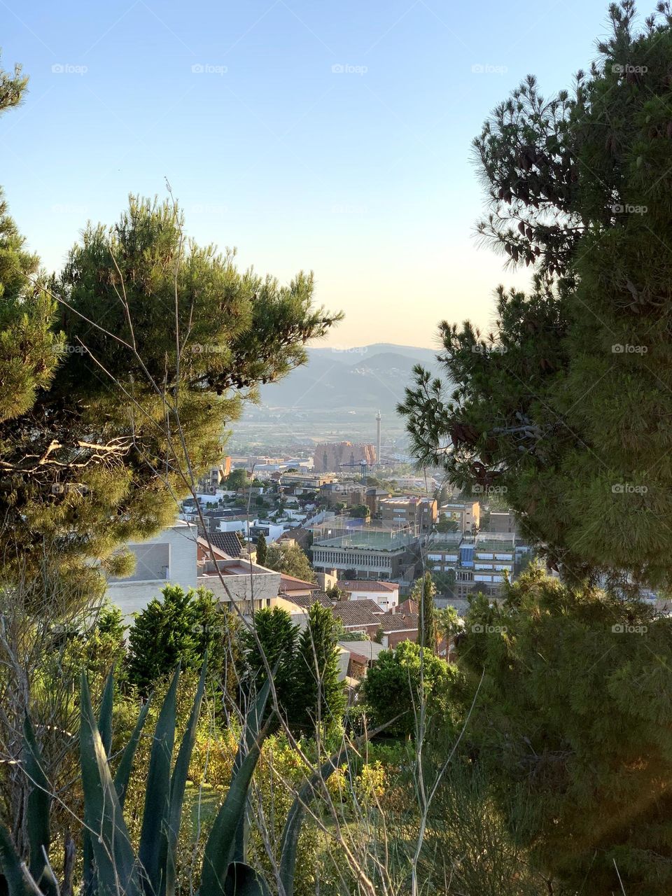 Landscape of a city with trees around the photo during sunset 