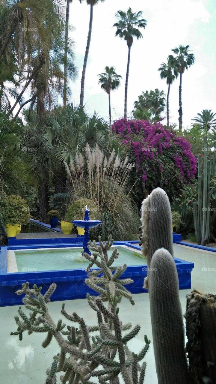 blue fountain in  majorelle garden in marrakech