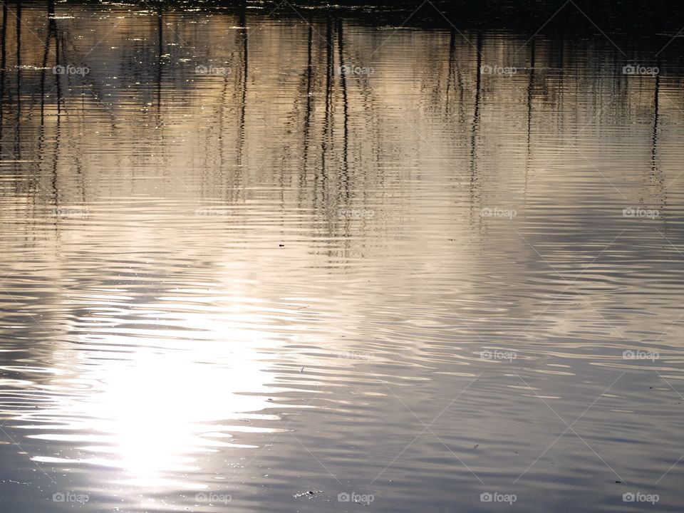 Renoir reflection