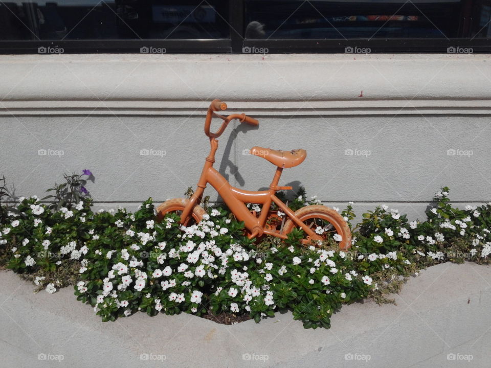Bike in Flowers