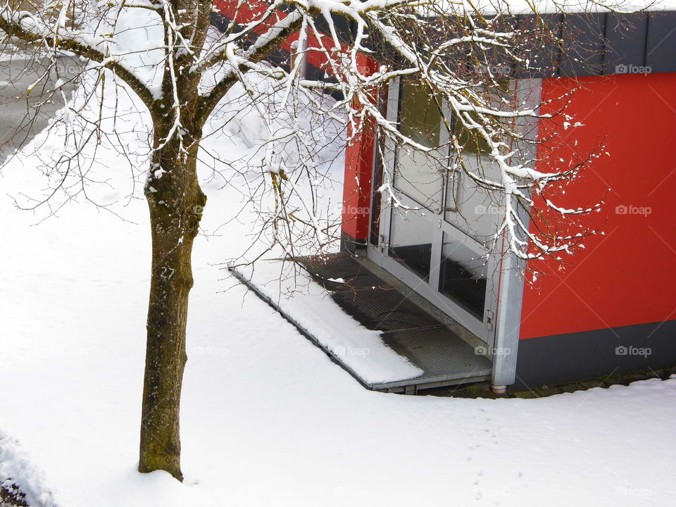 beautiful color house and Snow White