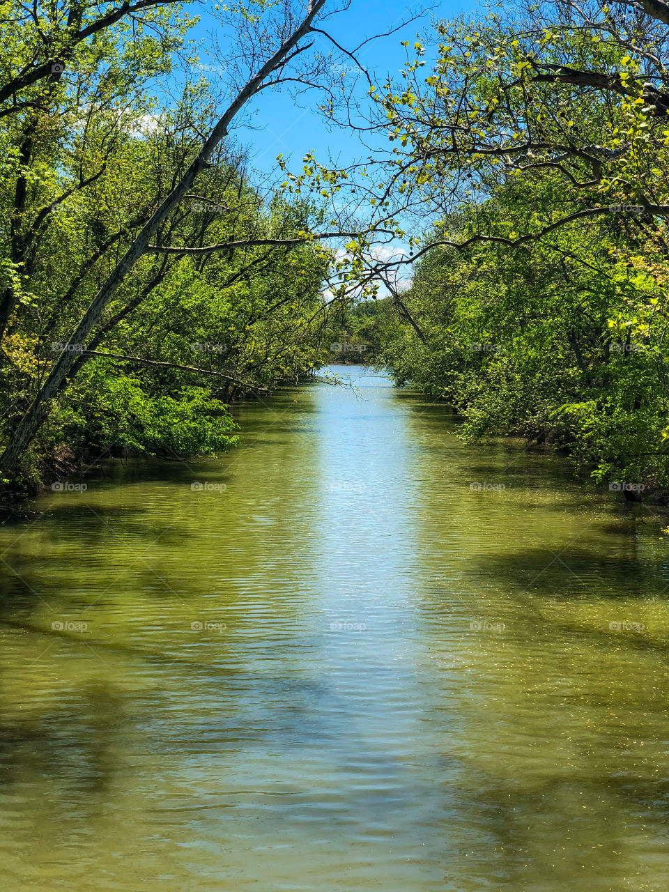 Green & more green