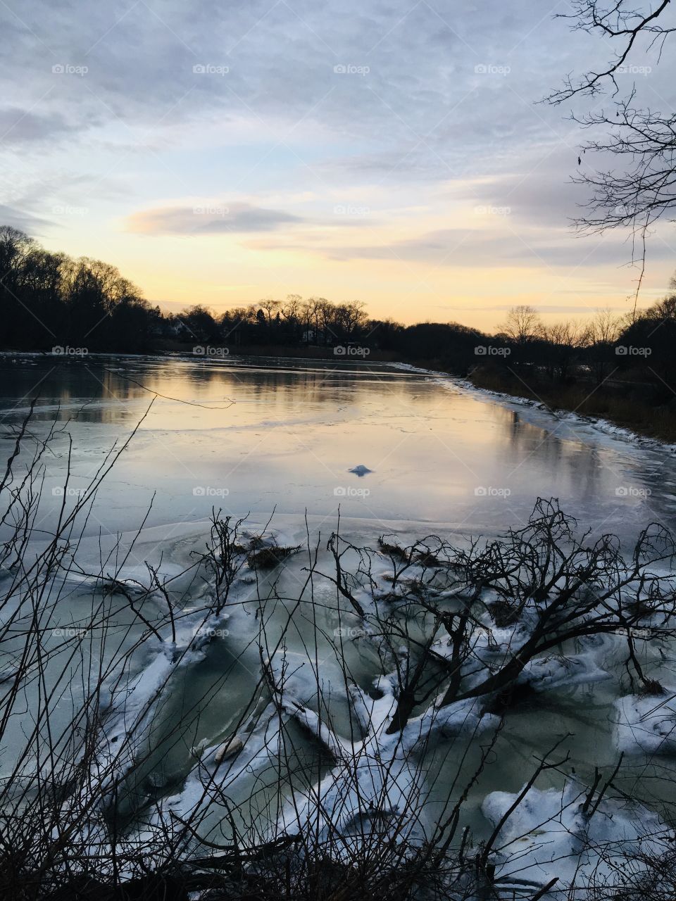 Frozen Cove