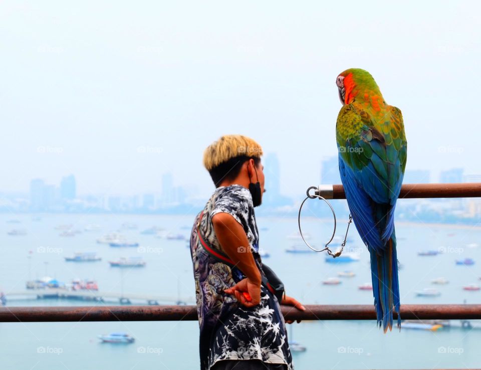 Amazing Pattaya viewpoint; Isn't it ? 🤩🤩