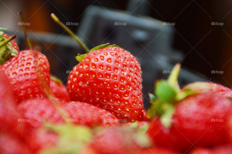 The strawberry . Strawberry 