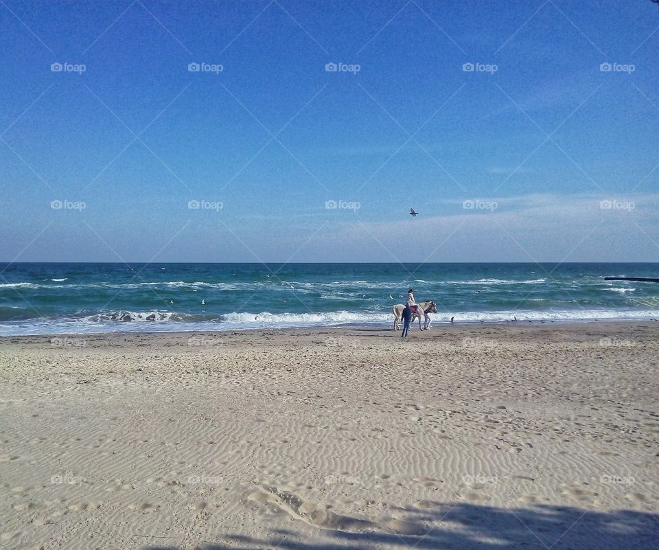 Beach, Sand, Sea, Water, Ocean