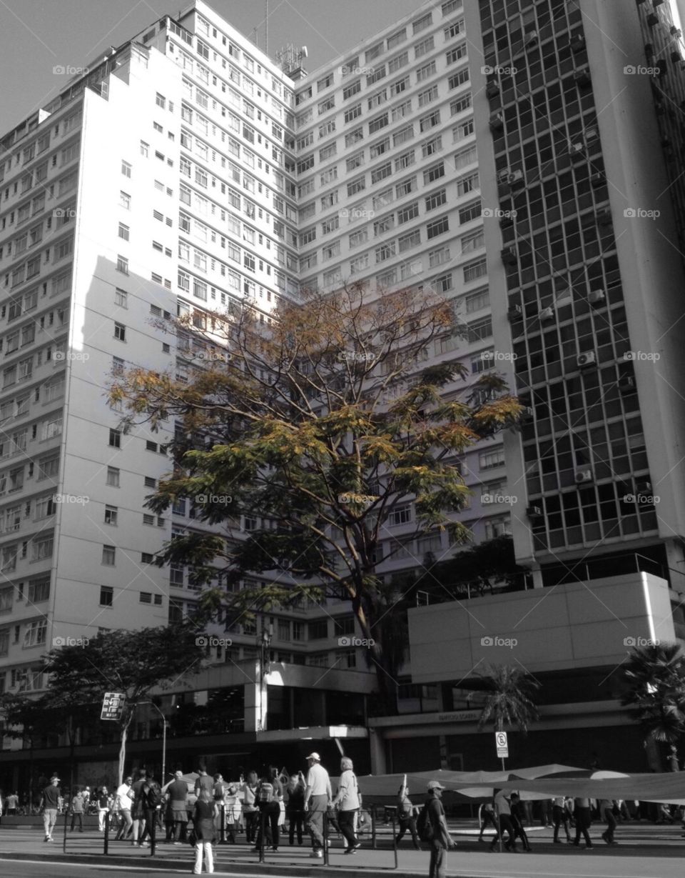 When the city swallows the nature. 