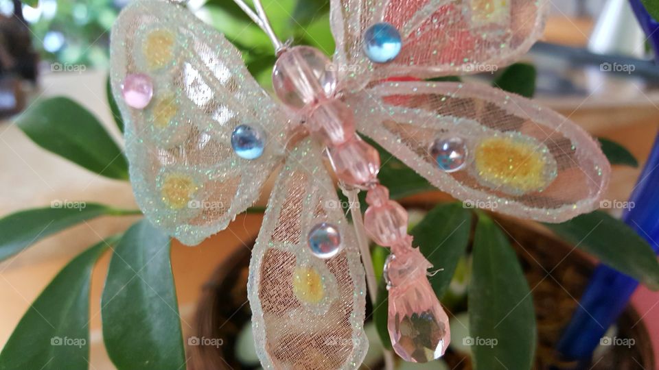 Beautiful macro shots