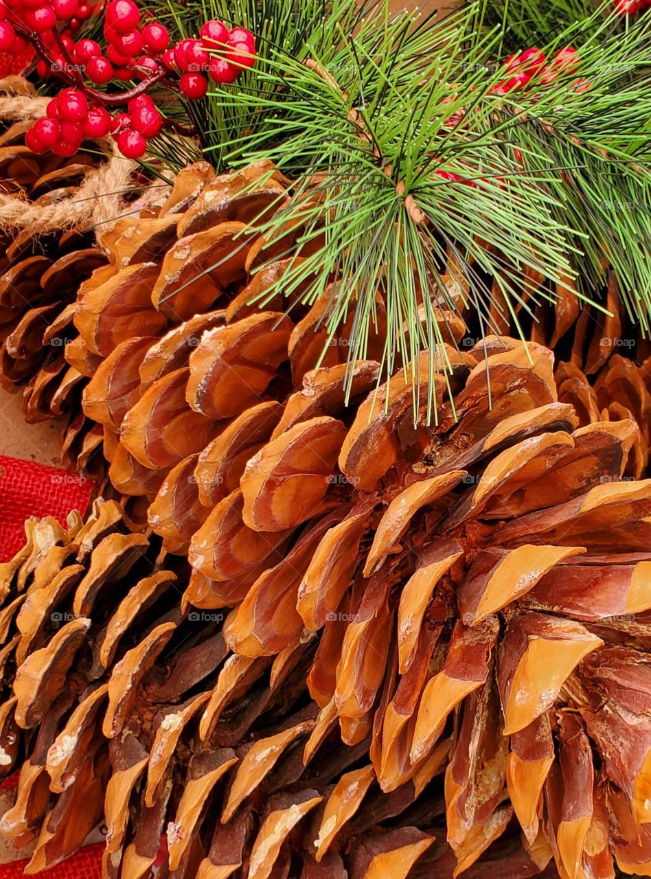 Pine Cones and Red Berries