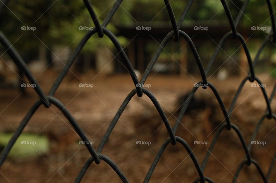 Steel cage