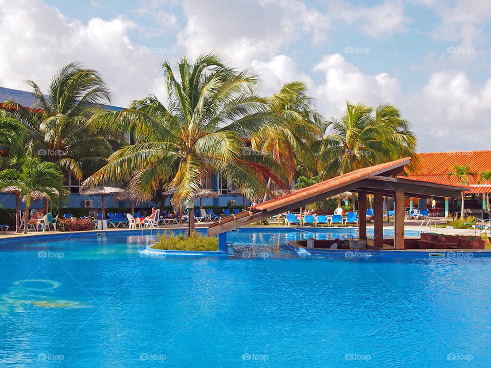 tree palm pool tropical by swatchtime