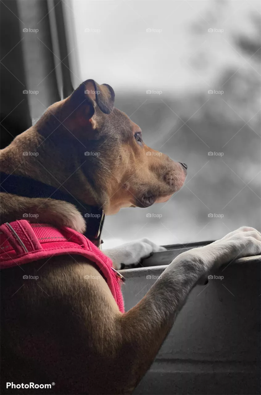 Looking out 