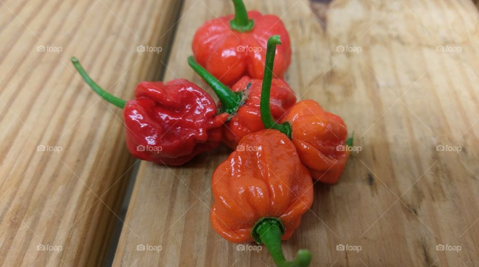 Carolina Reapers hottest pepper ever