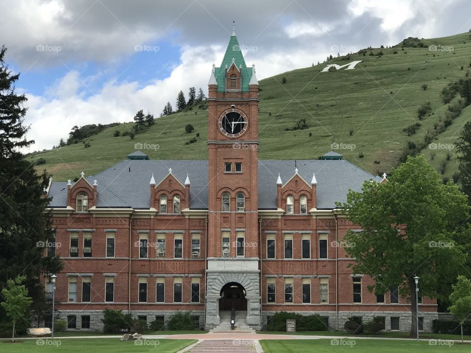 University of Montana 