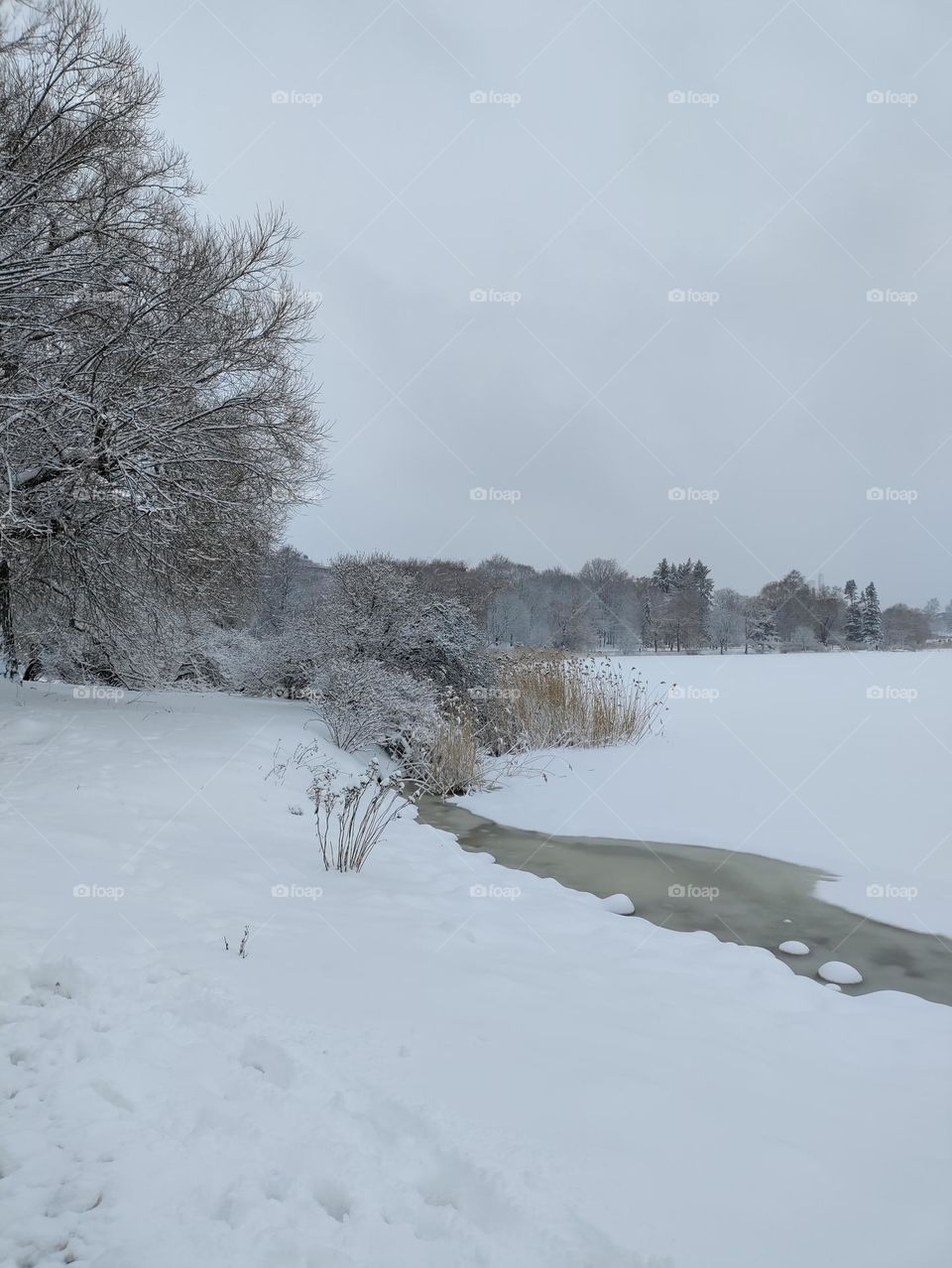 snowy seaside