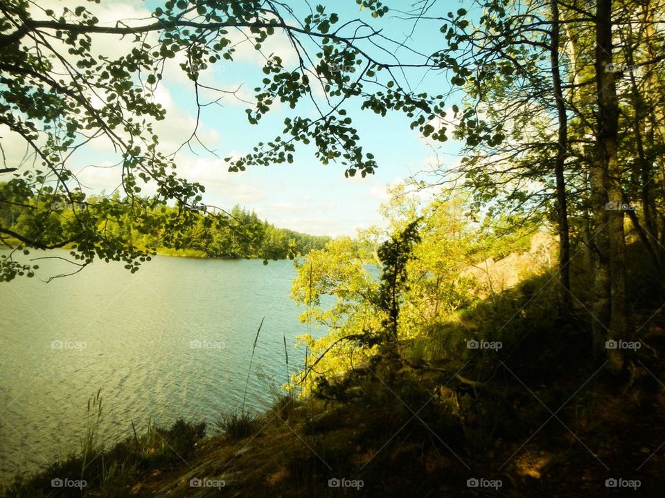 swedish summer summmer åkersberga lake by The_Picture_man