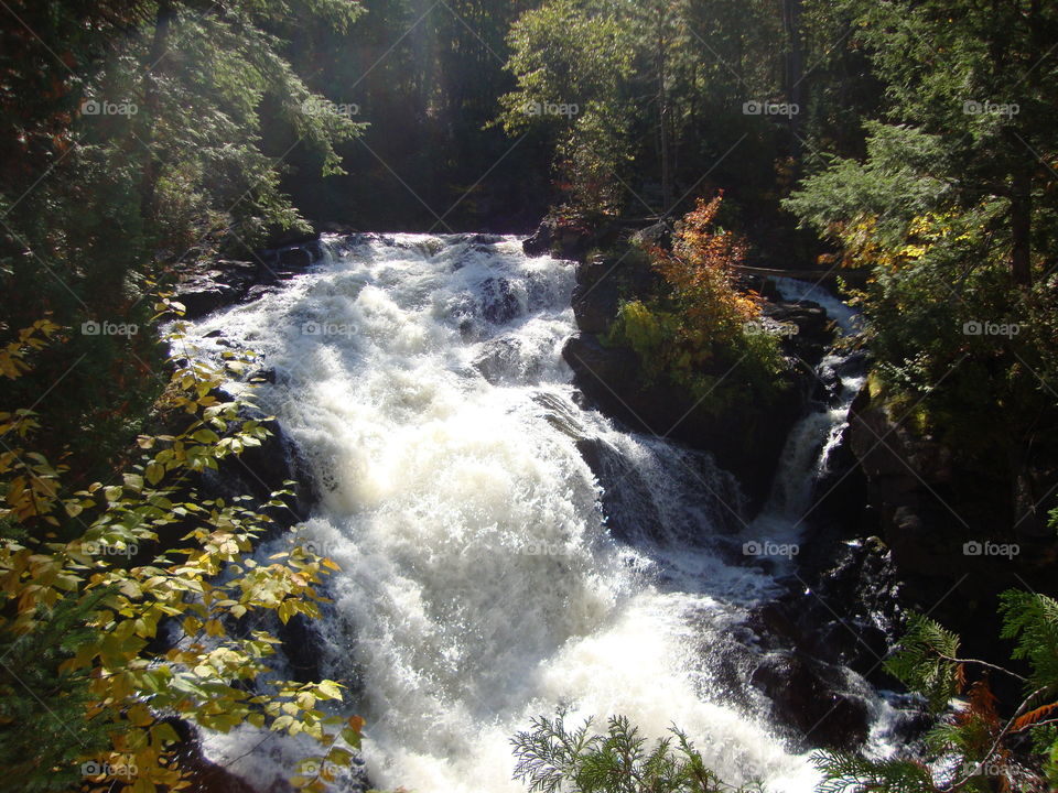 water running through the gorge